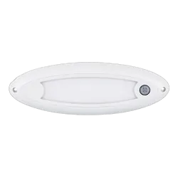 Interor And Exterior 20109WM-PIR