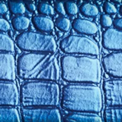 MineLab GO-FIND 22 Metal Detector