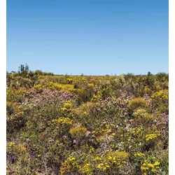 Australian Geographic Travel Guide : South West Australia