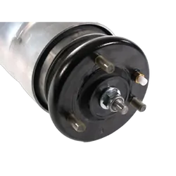 Front Air Strut - To Suit LAND ROVER DISCOVERY 3 & 4 (LR3 & LR4) TAA L319 04-16 - Standard Height