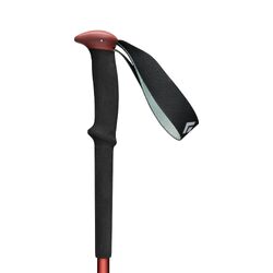 Black Diamond Trail Trekking Poles - Pine Smoke