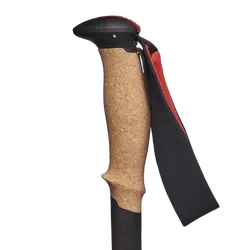 Pursuit FLZ Trekking Poles S23 - Black/Octane S/M