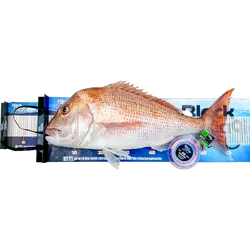 Black Magic Brag Mat