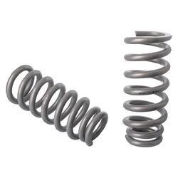 CalOffroad Nitro Pro Series Front Coil Springs, Up to 1.5 INCH Lift, Light Duty,, to suit Mitsubishi Pajero NM - NX