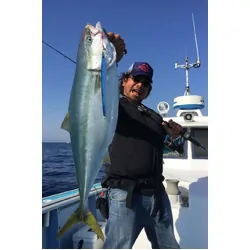 Decoy DJ-100 81879 Grand Pike #1