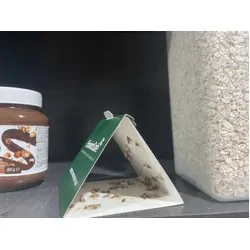 Envirosafe Domestic Pantry Moth Trap 2PK