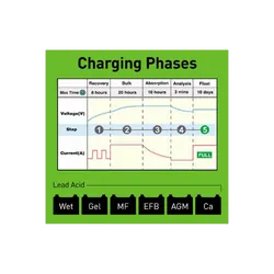 5 Stage Fully Automatic Switchmode Battery Charger For 1 Amp 6/12V