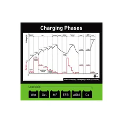 9 Stage Fully Automatic Switchmode Battery Charger For 25 Amp 12/24V
