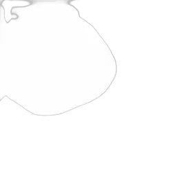 Ignite T15 Wedge White 12/24V 900 Lumens (Pkt2)