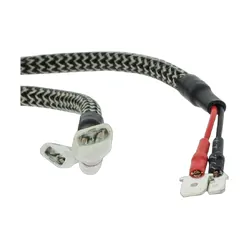 Ignite H1 & H3 Electronic Canbus Kit 12V (Pkt2)