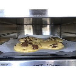 Baking, Cookie & Pizza Tray to suit Travel Buddy 12V Marine, Road Chef, KickAss & Tentworld Outback Ovens