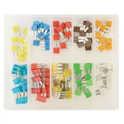 Micro 2 & 3 Fuse Kit 100 Pcs