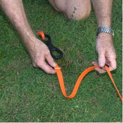 Ground Dogs Pet Restraint Kit - without lead