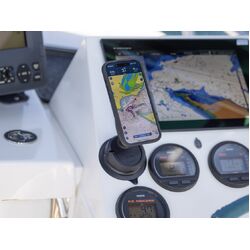 Quad Lock Base - Suction