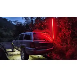 Rgb 5Ft Whip W/ Remote & App Control