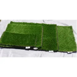 Xtend Outdoors XT Mat (Synthetic Grass) 60 cm X 90 cm