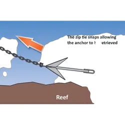 Anchor Mooloolaba Pick 4Lbs