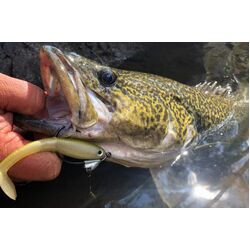 Owner 4164 Flashy Swimmer Gold Colorado (4164-021) Size - 1/0-1/8OZ