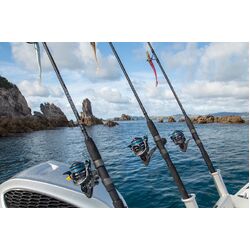 PENN Regiment Black Ops II REGBO-SP 702L 2-4kg - Spin