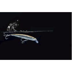 Berkley Pro-Tech Titan Jerk Shallow Lure 100mm Grey Mullet