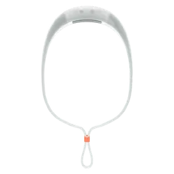 Bandicoot Run 250 Lumen Headlamp Coral
