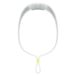 Bandicoot Run 250 Lumen Headlamp Grape