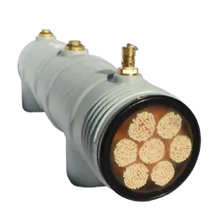 LifeSaver C1 Large Scale Water Purifier