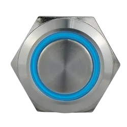 Switch Round Stainless Steel Illuminated (Momentary ON) 12V