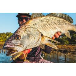 Rapala Crush City Creeper 3.25" Soft Plastic Pearl White