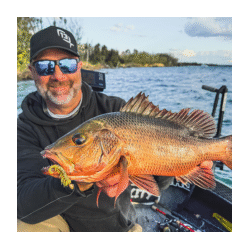 Rapala Crush City The Imposter 2.5" Soft Plastic Banana Prawn