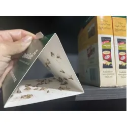 Envirosafe Domestic Pantry Moth Trap 2PK