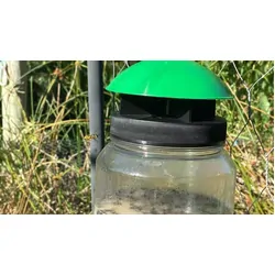 Envirosafe European Wasp Trap