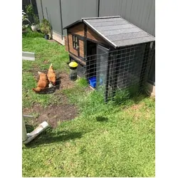 Envirosafe Jumbo Fly Trap