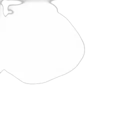 Ignite T20 Wedge White 12/24V 900 Lumens (Pkt2)