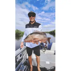 Jetpilot Mens Venture LS Fishing Polo Grey - Small