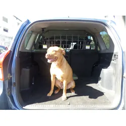 Light Cargo & Pet Barrier to suit Toyota RAV4 Gen 3