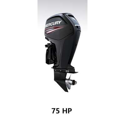 Mercury 4 Stroke 4 Cyl 2.1L 75-115Hp Full Cover (L)20In/508mm Leg (2014>)