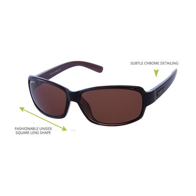 Spotters Sunglasses Whiskey+ Gloss Brown Halide