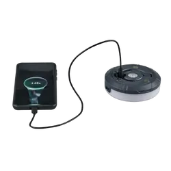 Loomie Line String Lights