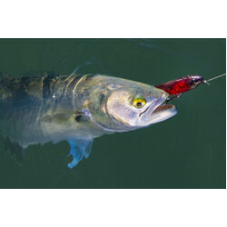 Berkley Pro-Tech Slurp Lure 85mm Peach Face