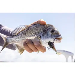 Berkley PowerBait HoneyBall Soft Plastic 40mm Lime Ice