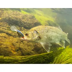 Berkley Pro-Tech Money Badger Lure 40mm Midnight Tiger