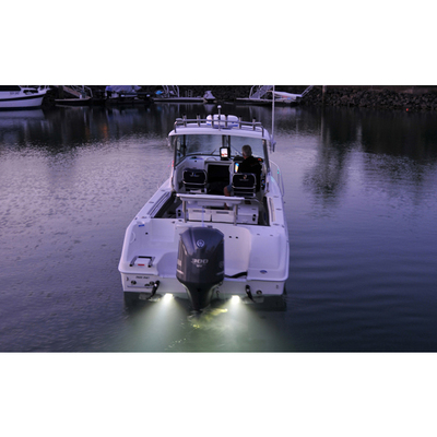 Relaxn White Underwater Light 5 Inch Oval 316G S/S Cover