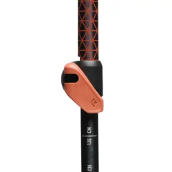 Trail Cork Trekking Poles - Fig