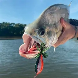 Rapala BX Skitter Frog 5cm Toman