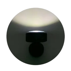 Wildtrak Led Light With Batteries 7 X 8Cm Dia In Disp 2 Asst Clr