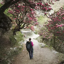 Explore Planet Earth Comet 18L Packable Backpack Black