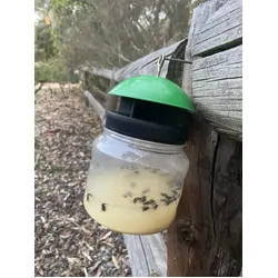 Envirosafe European Wasp Trap