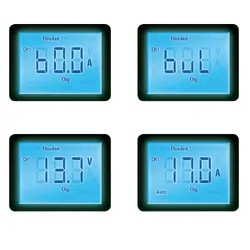 Epower Smart Charger 60Amp / 12V