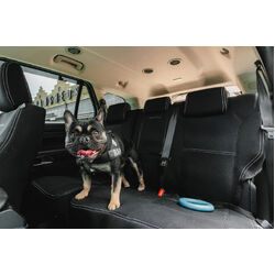 Rubbertree Premium Neoprene Seat Covers Fits Ford Ranger (Next Gen Xlt Dual Cab) 2022+ Fronts Only